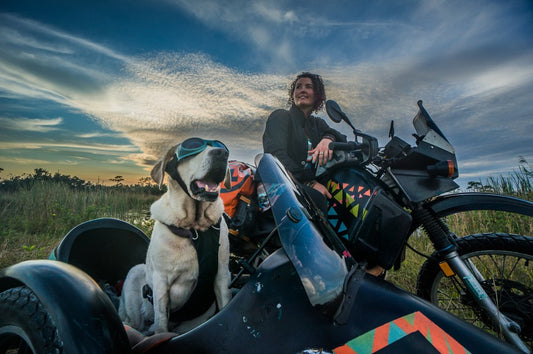 Baylor the Dog explores Southern Florida
