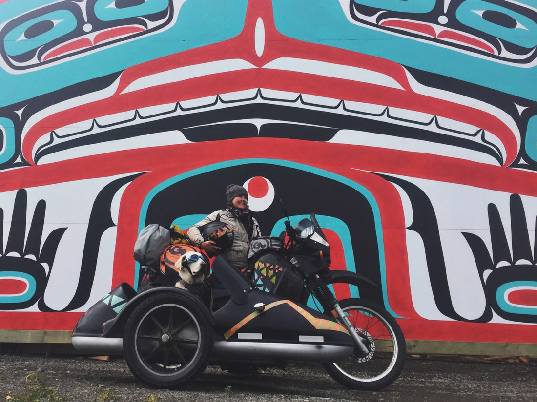 Operation Moto Dog in the Yukon