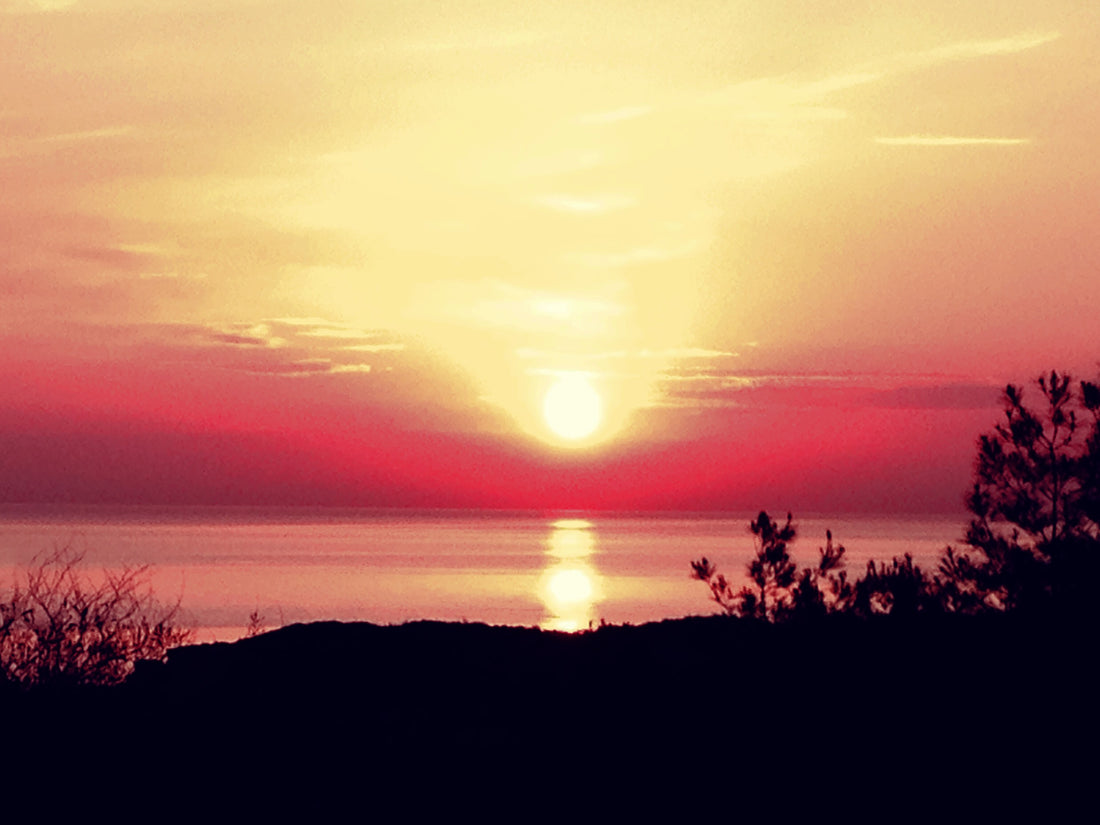 You're Only as Sick as Your Secrets