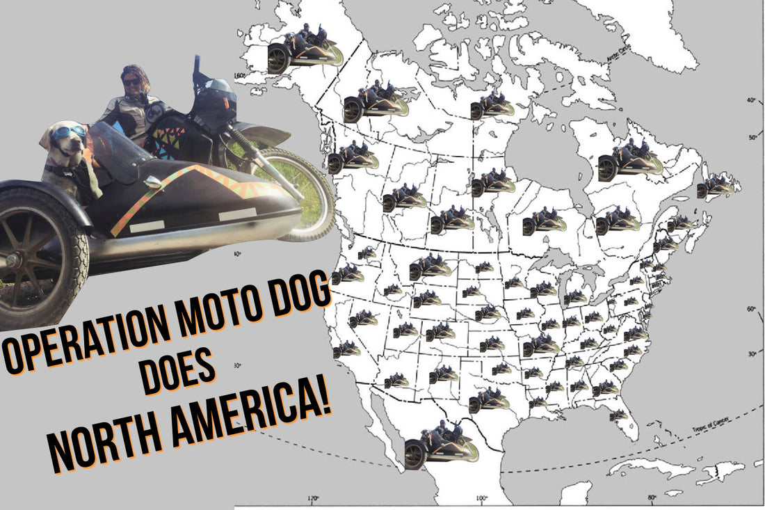 OMD does North America