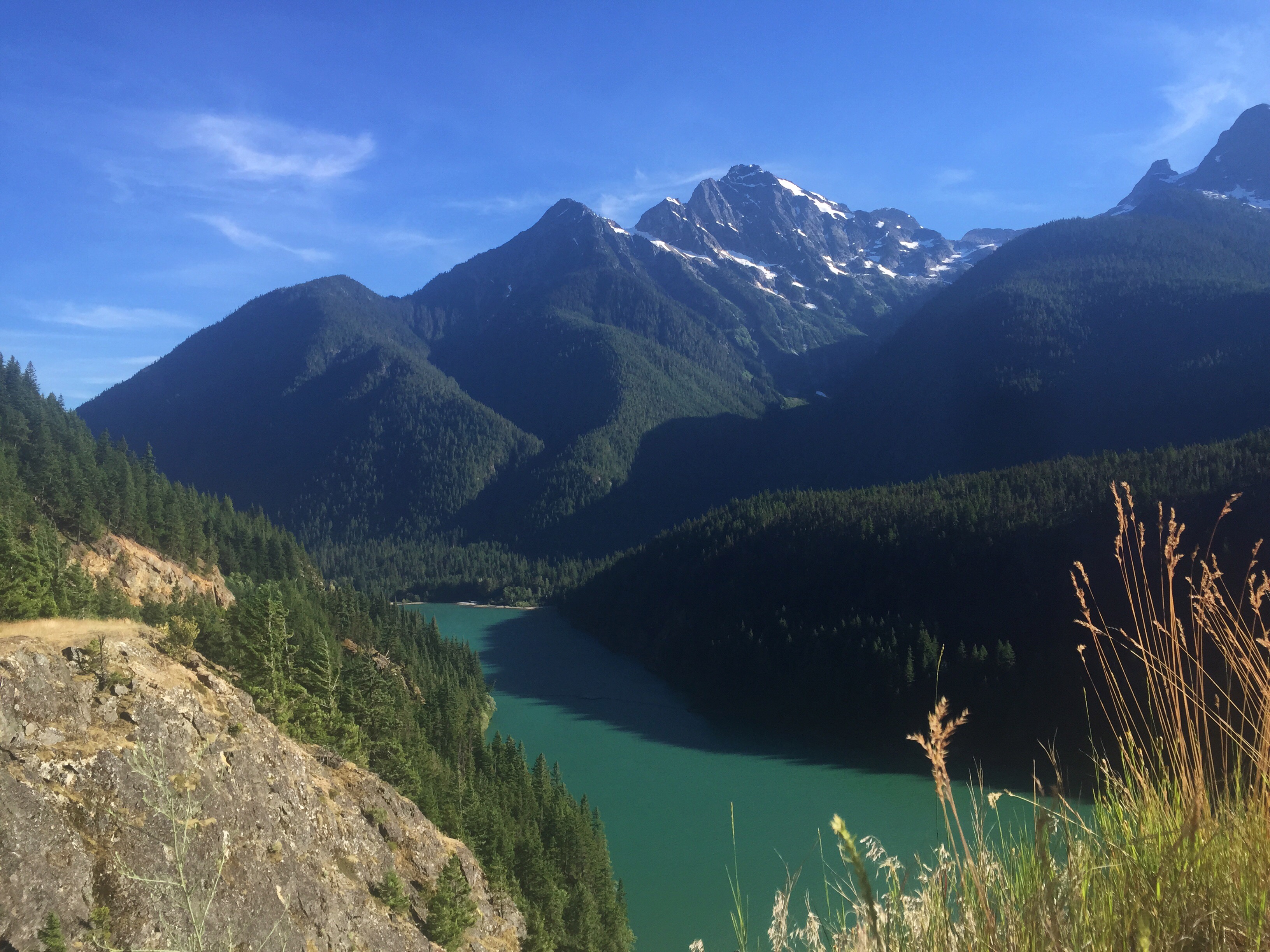 Operation Moto Dog - North Cascades