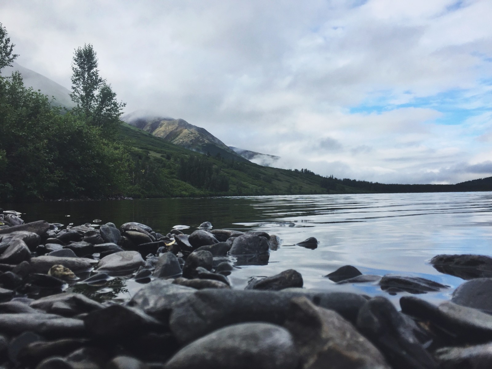 OMD - Chugach National Forest, Alaska