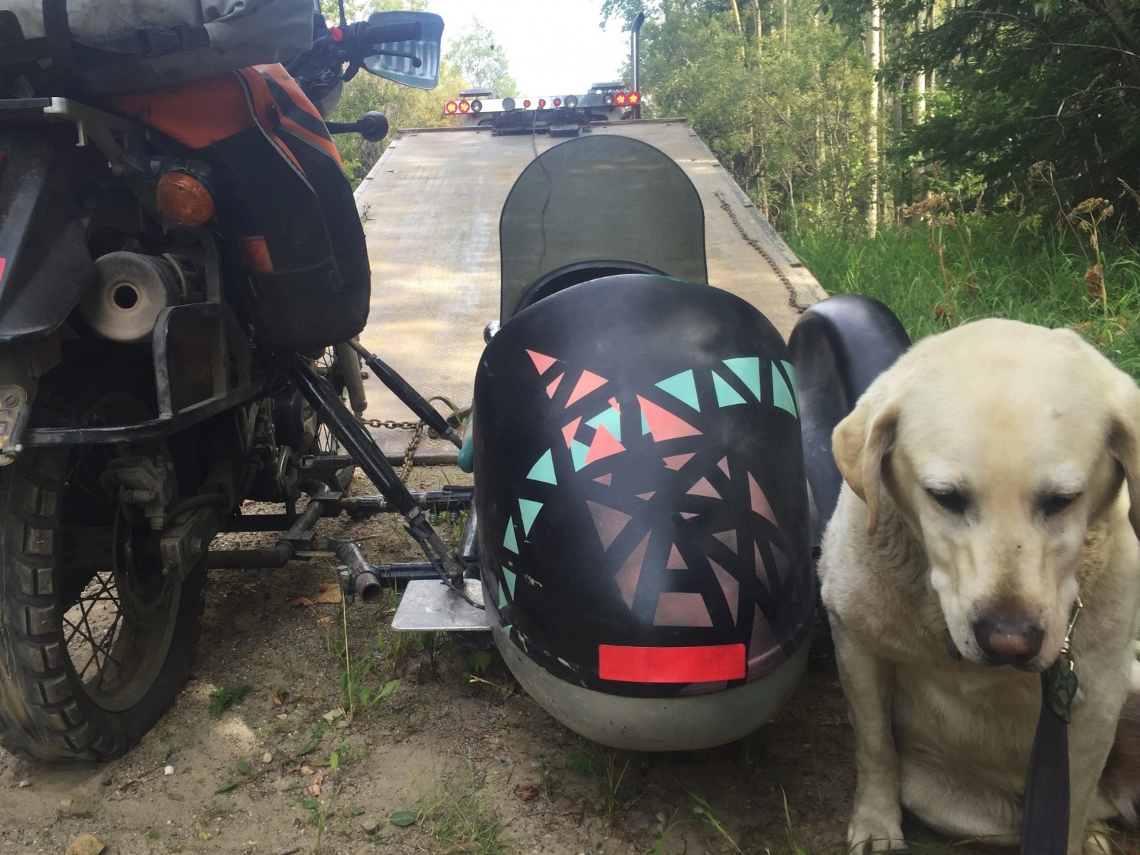 Towing Rufio - Operation Moto Dog