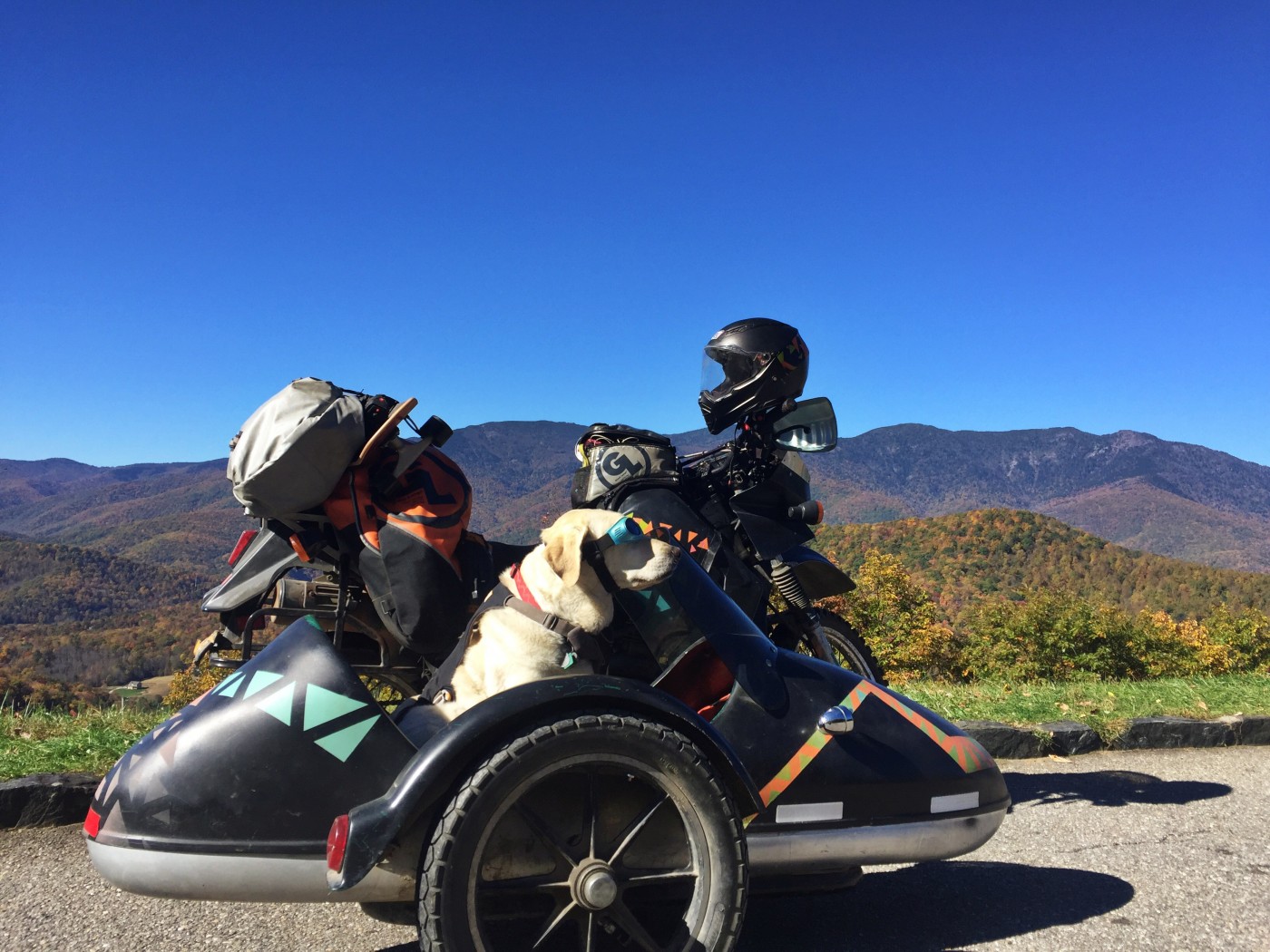 Baylor the Motorcycle Dog Explores North Carolina | Operation Moto Dog