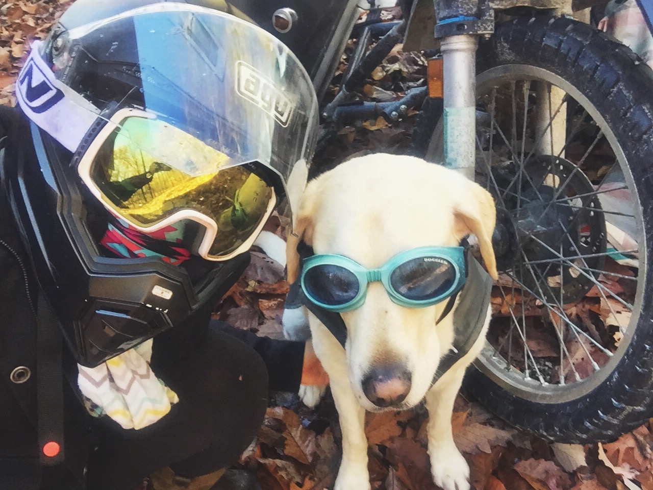 Mallory Paige & Baylor the Sidecar Dog Ride in the Rain | OMD Day 150