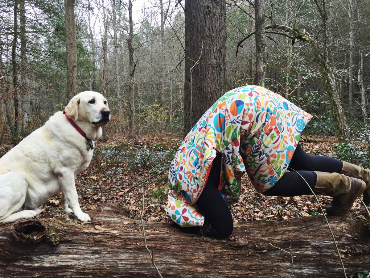 Mallory Paige and Baylor the Sidecar Dog get Weird in Tennessee | Operation Moto Dog Day 158