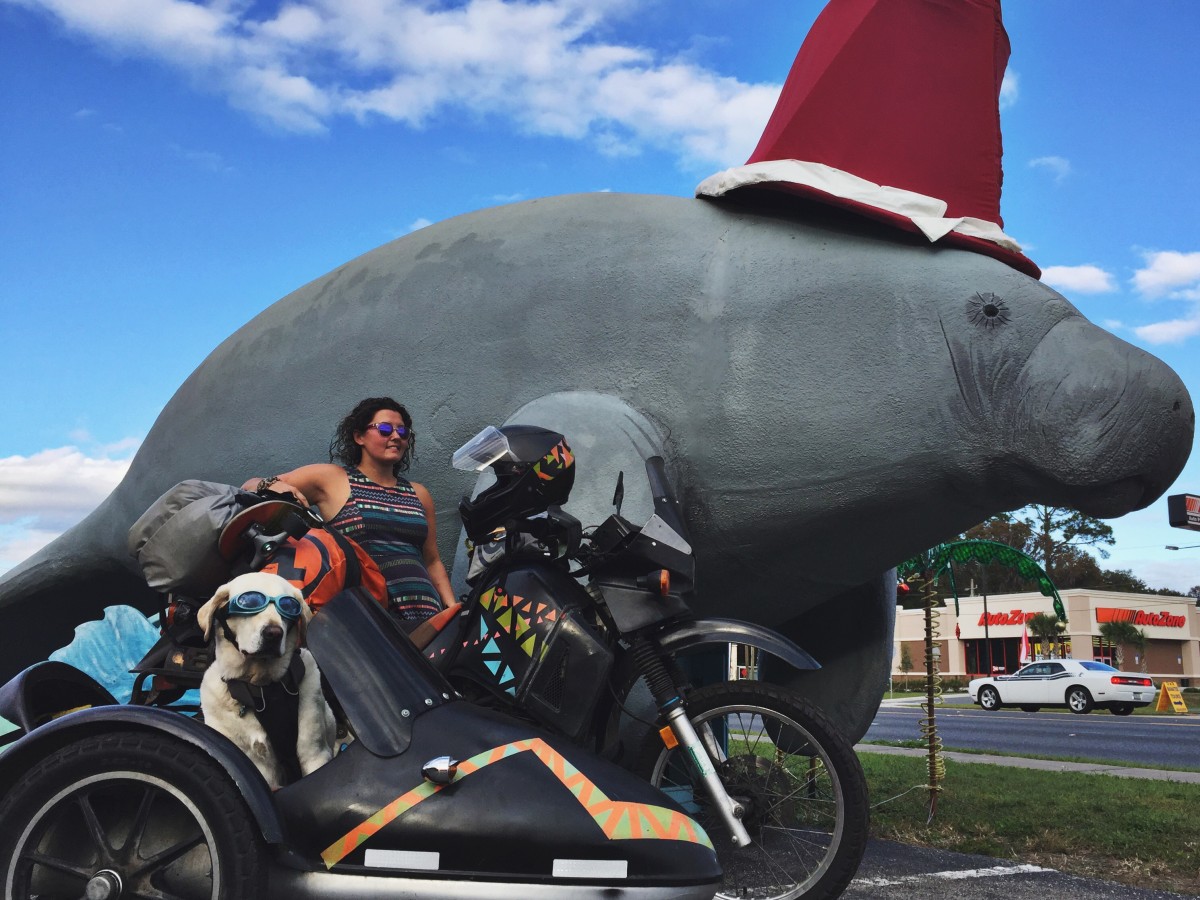 Mallory Paige and Baylor the Dog Hang with a Manatee | Operation Moto Dog Day 180