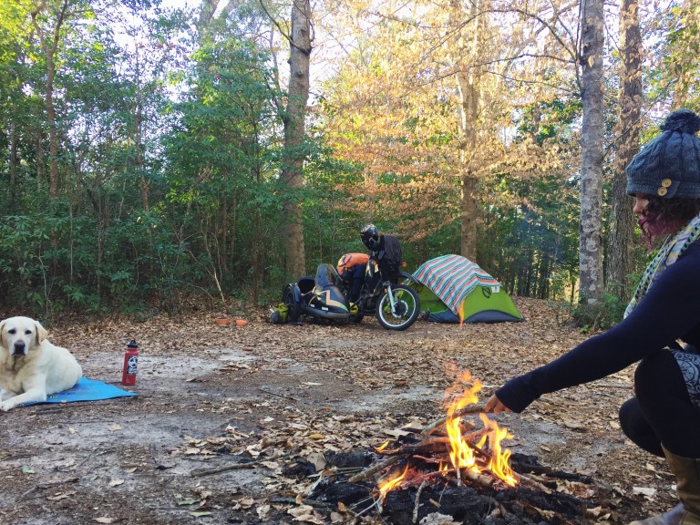 Motorcycle Camping with Mallory Paige | Operation Moto Dog Day 240