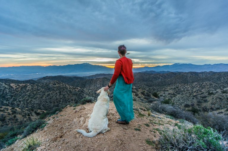 Mallory Paige in Joshua Tree | Operation Moto Dog Day 266