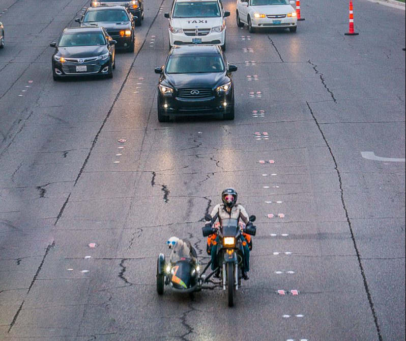 Sidecar Dog in Las Vegas | Operation Moto Dog Day 265