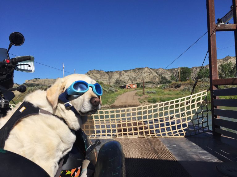 Baylor the Motorcylce Dog in the Upper Missouri Breaks