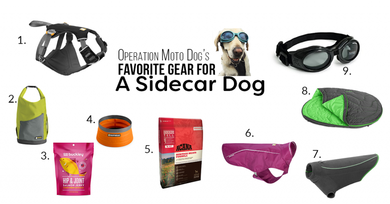 Operation Moto Dog's Favorite Gear for the Sidecar Dog