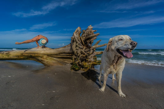 Mallory Paige and Baylor the Dog Enjoy Juno Dog Beach