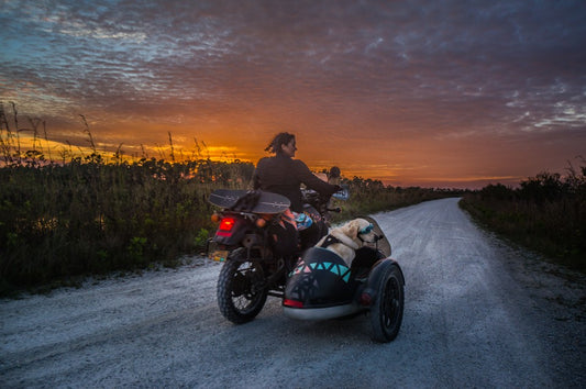 Mallory Paige and Baylor the Sidecar Dog Sunset Cruisin'
