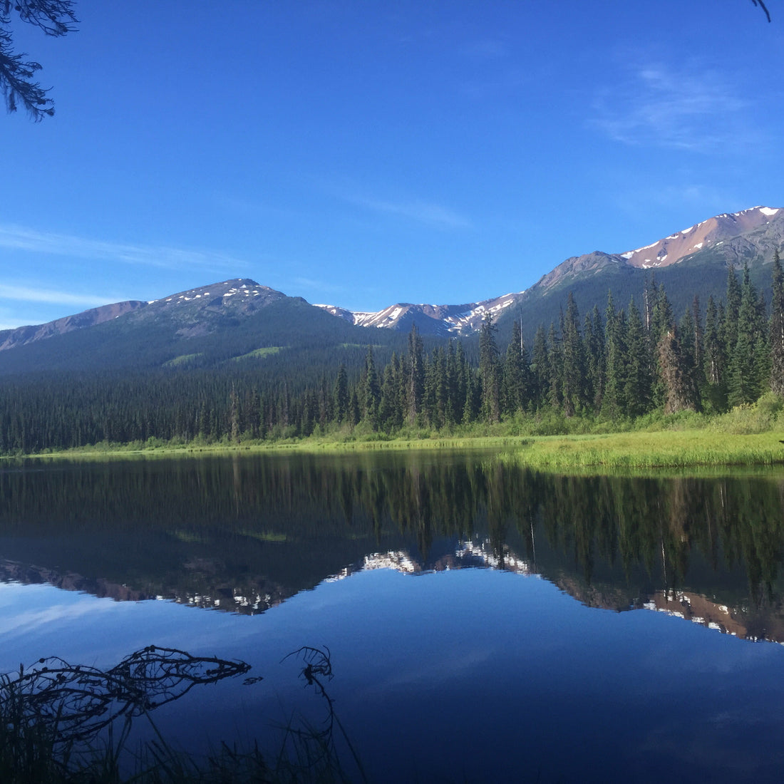 Dennis Lake - Operation Moto Dog