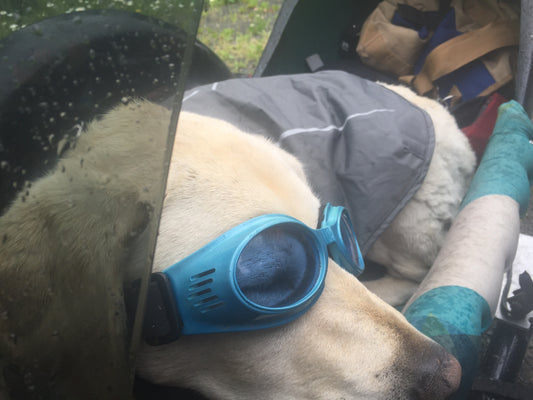 OMD Travelogue - Day 14