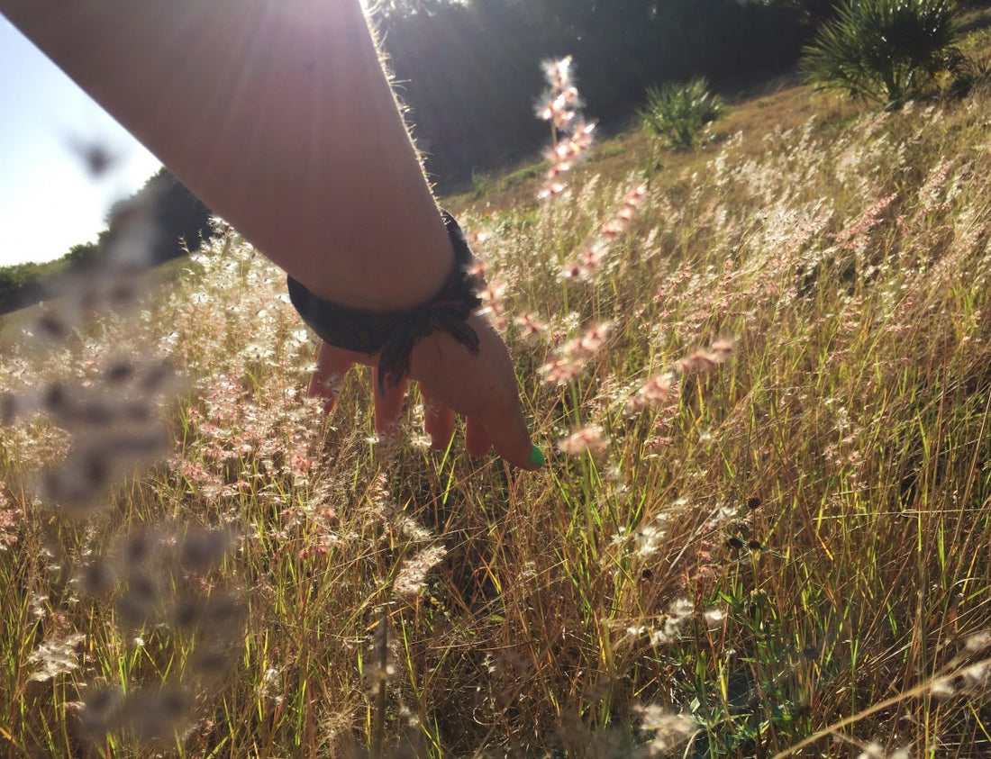 Mallory Paige discovers Florida secrets