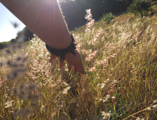 Mallory Paige discovers Florida secrets