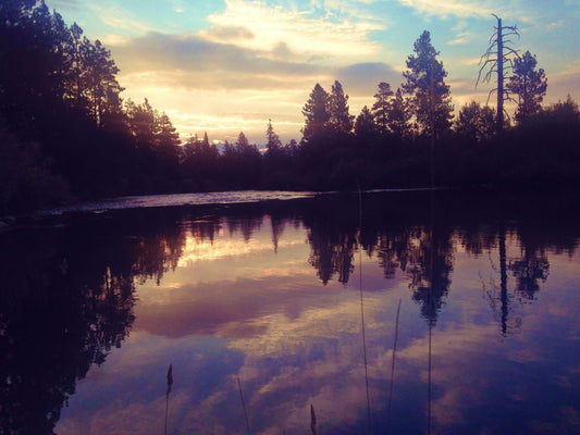 The Beauty of Heartbreak