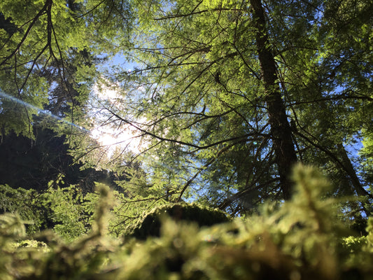 OMD Travelogue - Day 8