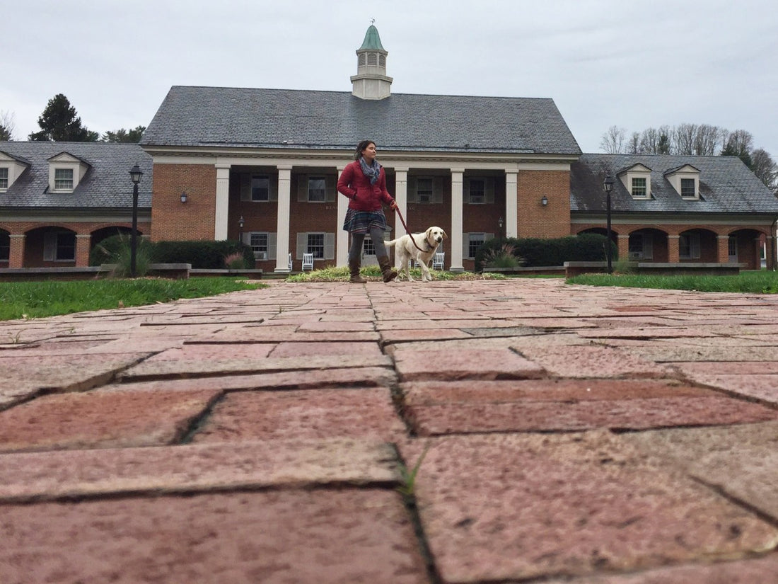 Mallory Paige and Baylor the Sidecar Dog Explore Brevard, North Carolina
