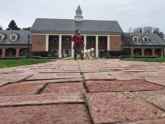 Mallory Paige and Baylor the Sidecar Dog Explore Brevard, North Carolina