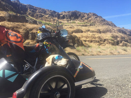 OMD Travelogue - Day 2