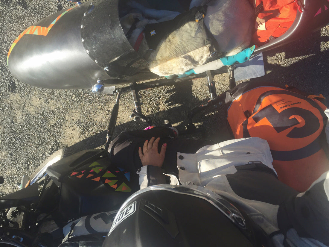 OMD Travelogue - Day 3