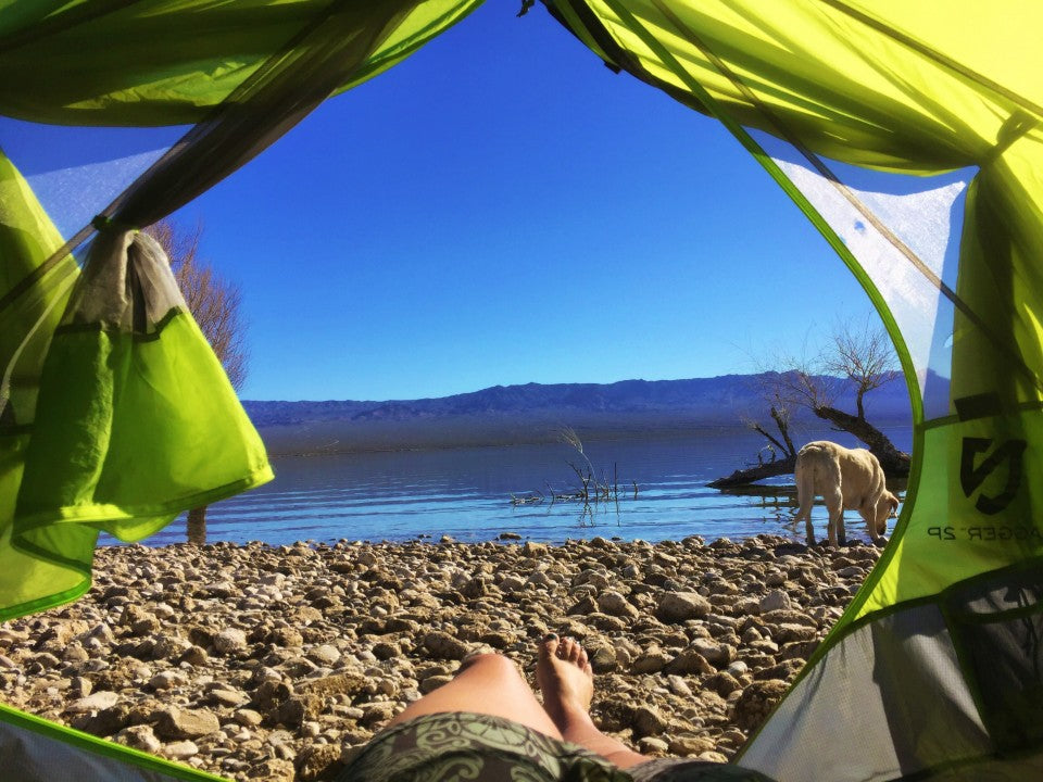 Camping with Dogs in Nevada
