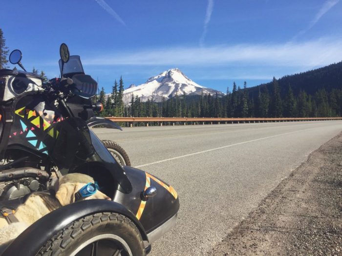Baylor the Motorcycle Dog | Mt Hood Oregon