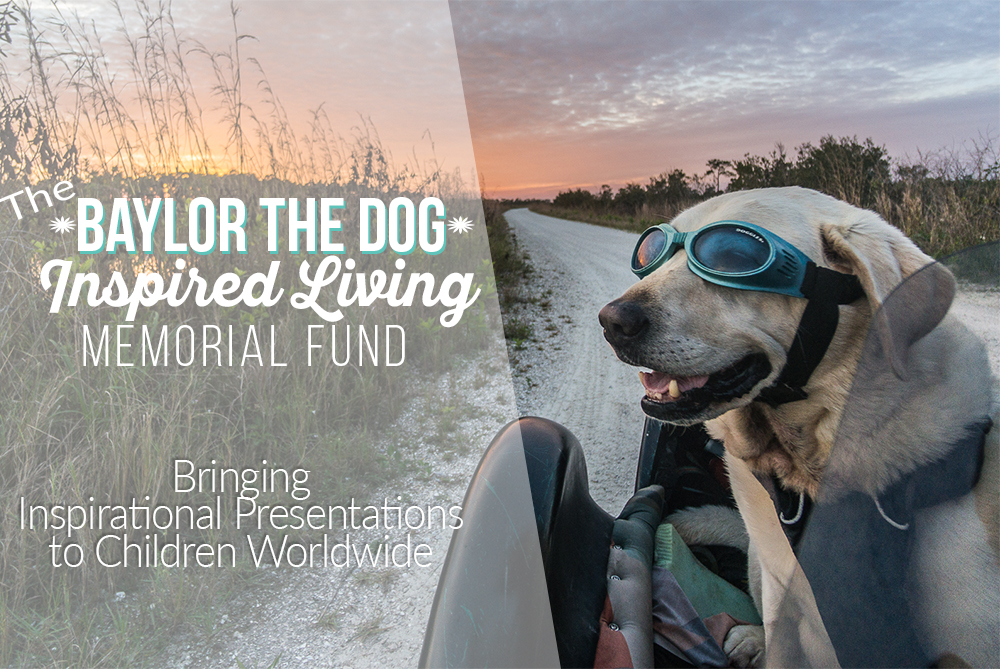 Baylor the Dog Memorial Fund | Bringing Inspirational Presentations to Children Worldwide