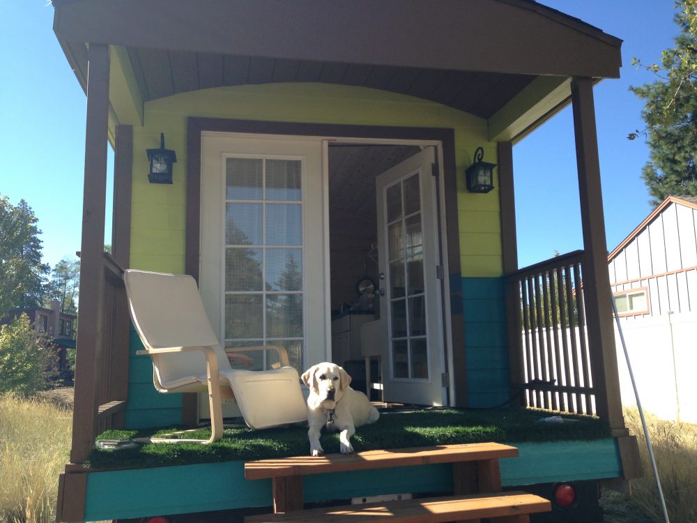 Baylor the Dog Lives in a Tiny Home