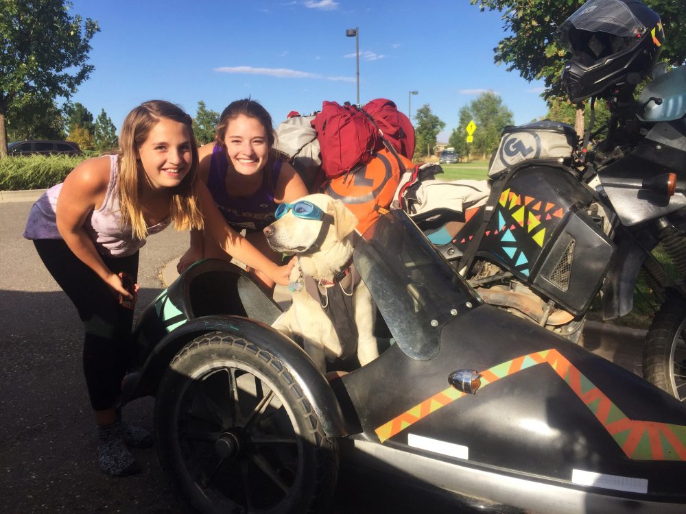Baylor the Motorcycle Dog Loves Kids
